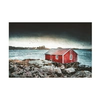 Филип Саин Лауди „Норвешка текстура црвена“ уметност