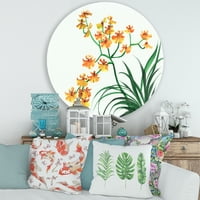 DesignArt 'Yellowолти гроздобер орхидеи на бела' традиционална метална wallидна уметност - диск од 36
