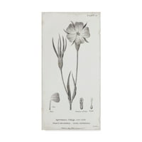 Разговори на ликовната уметност на трговската марка на ботаниката III 'платно уметност од портфолиото на диво