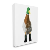 Tuphely Industries Mallard Duck облечена во чизми портрет графичка уметничка галерија завиткана платно печатена
