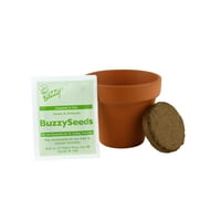 Buzzy Mini Terra Cotta Growts Kit - гарантирано да расте - сончоглед