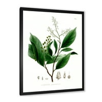 DesignArt 'Античко бразилско растение II' Традиционално врамен уметнички принт