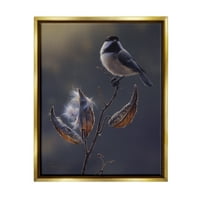 Tuphell Industries Bird Perched Floral Seed Pods Animals & Insects сликање златен плови врамен уметнички печатен