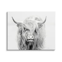 Sumbell Industries Expressive Highland Monochromy Animal Porter Porting Photograte Gallery Wrapped Canvas