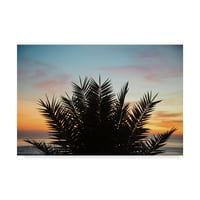 Трговска марка ликовна уметност „зајдисонце палма II“ платно уметност од Лора Маршал