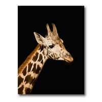 DesignArt 'Затвори портрет на жирафа на црна IV' фарма куќа платно wallидна уметност печатење