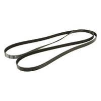 Dayco Poly Rib Belt Sepentine Belt Drive Belt