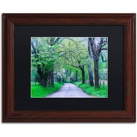 Трговска марка ликовна уметност Cades Cove Lane Canvas Art by Michael Blanchette Photography Black Matte, Rame Rame