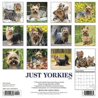 Willow Creek Press Jurkies Wallиден календар