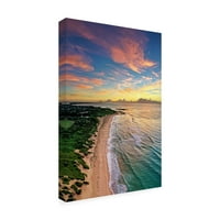 Бита Цицовска Млада „Шели плажа изгрејсонце“ уметност