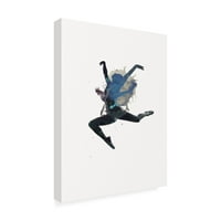 Трговска марка ликовна уметност „Балерина лебди Фабриккен“ платно уметност по дизајн Фабриккен