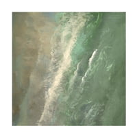 Шеила Финч „Аериски брег I“ платно уметност