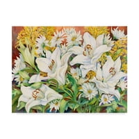 Заштитена марка ликовна уметност „лилјани и маргаритки бела“ платно уметност од anоан Портер