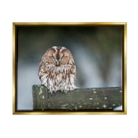 Sumbell Industries Owl Preched Fence Post Wildlife Photional Photography Фотографија Металик злато лебдечки врамени платно печатено wallид уметност, дизајн од Jamesејмс Добсон