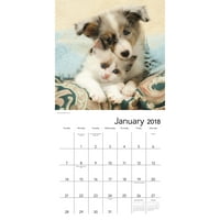 Calendиден календар на Mead Paw Pals