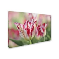 Трговска марка ликовна уметност 'Rembrandt Silver Standard Tulip' Canvas Art by Cora niele