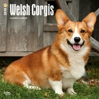 Welshиден календар на велшки коргис