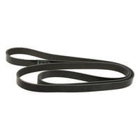 Dayco Poly Rib Belt Sepentine Belt Drive Belt