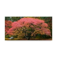 Трговска марка ликовна уметност „јапонско јаворово дрво розово“ платно уметност од asonејсон Матијас