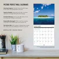 Willow Creek Press Gary Paws Paws n Claws Wall Calendar
