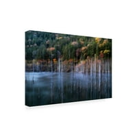 Takeshi Mitamura 'Natural Lake Autemone' Canvas Art