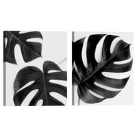 Monstera Solo & Duet Noir by Irene Sachocki Set of Canvas Art Prints