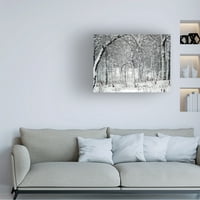 Клив Бренсон „дрвја во снег“ платно уметност
