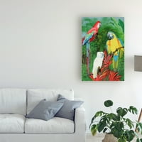 Трговска марка ликовна уметност „папагали“ платно уметност од Патрик Саливан