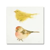 Трговска марка ликовна уметност „Акварел птици I Sq 'Canvas Art by Shirley Novak
