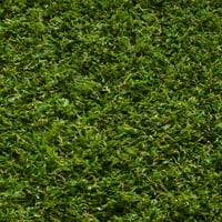 Добро ткаена аркадија трева модерна цврста обична зелена зелена боја на отворено нелимки 20 5 'тркач килим