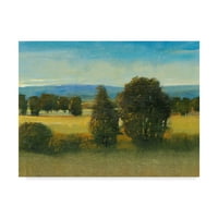 Трговска марка ликовна уметност 'verdant meadow i' Canvas Art by Tim Otoole