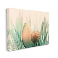 Sumpell Home Décor Ocean Seashell Seashell Collage Design Design Canvas wallидна уметност од Алберт Коетиер