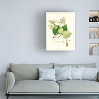 Непознато „пролетно зелено зеленило IV“ платно уметност
