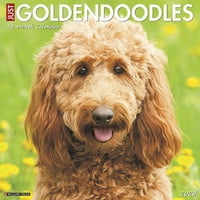 Willow Creek Press само goldendoodles wallиден календар