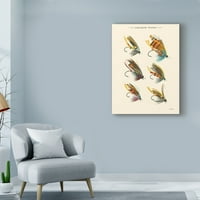 Трговска марка ликовна уметност „лосос лета II“ платно уметност од визија студио